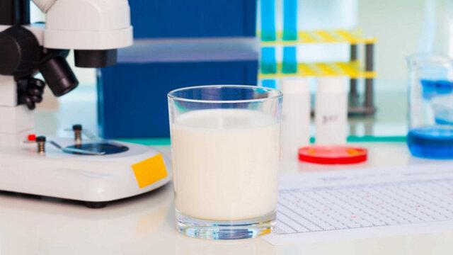 تولید شیر انسان